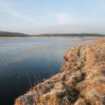 Kingside loch, Ettrick district SW Scottish Borders